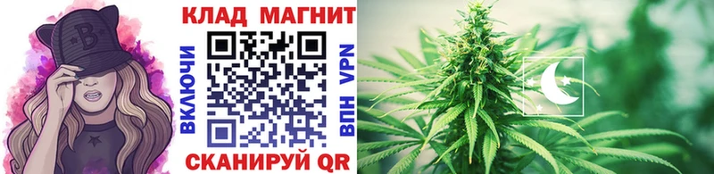 Купить наркотики цена Западная Двина Кокаин  A PVP  Галлюциногенные грибы  Гашиш 