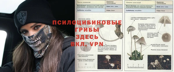 индика Абдулино