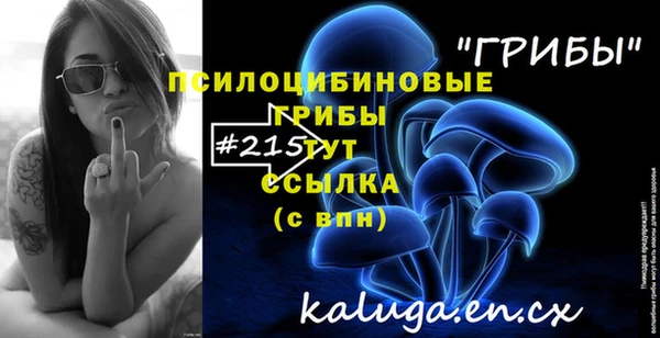 мет Алексин